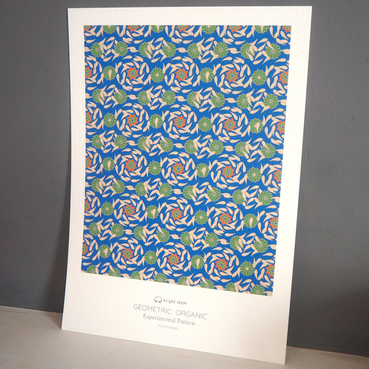 bright stem contemporary art print GEOMETRIC ORGANIC EXPERIMENTAL PATTERN first edition signed by the artist