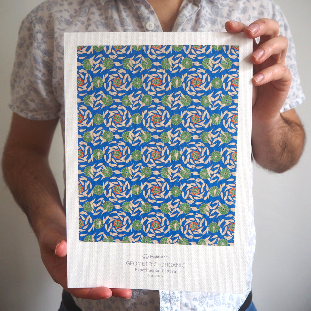 bright stem contemporary art print GEOMETRIC ORGANIC EXPERIMENTAL PATTERN first edition signed by the artist