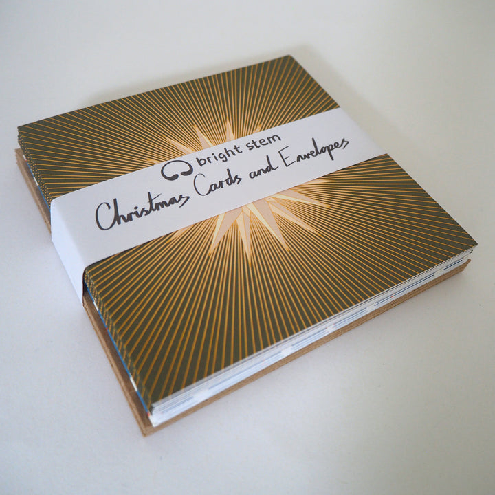 Christmas Cards and Envelopes Mixed Pack (12) Robin and Star Designs 100% Recyclable