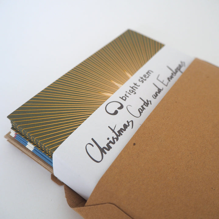 Christmas Cards and Envelopes Mixed Pack (12) Robin and Star Designs 100% Recyclable