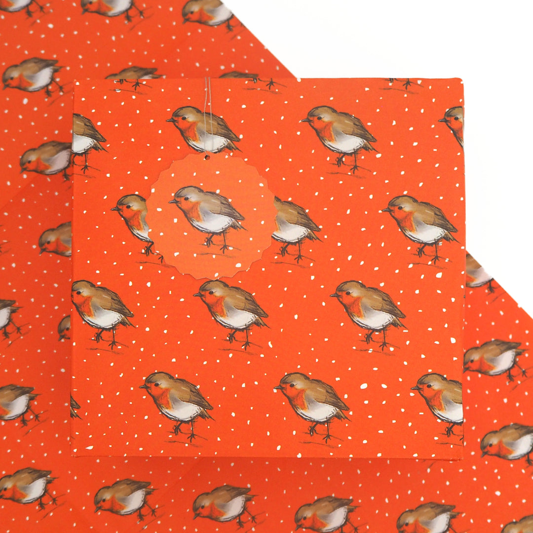 Present wrapped in bright stem Christmas wrapping paper and tag with a repeated Illustration of a Robin on a orange background.