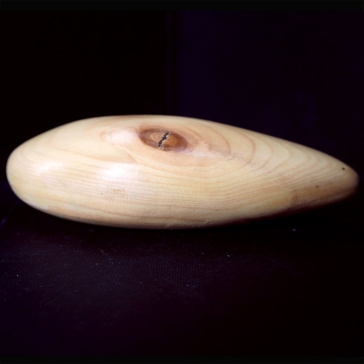 Abstract Sculpture S4 Pine Wood Limited Edition 1/1 - bright stem