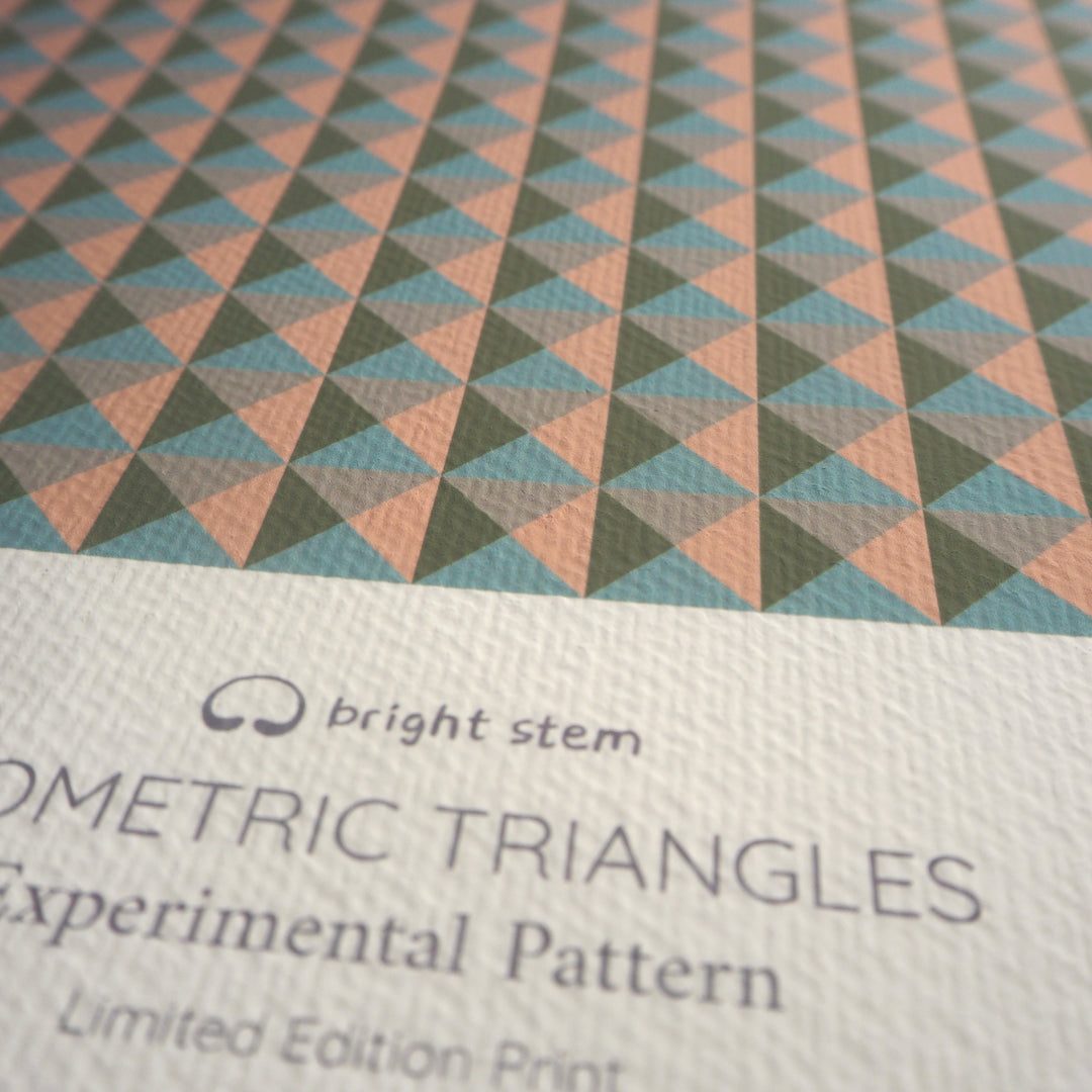 close up bright stem Limited Edition Art Print Geometric Triangles Experimental Pattern Signed by Artist(1/100)