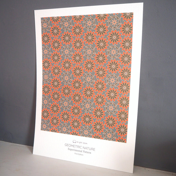 Contemporary Art Print Geometric Nature Experimental Pattern First Edition Signed by Artist (1/100)