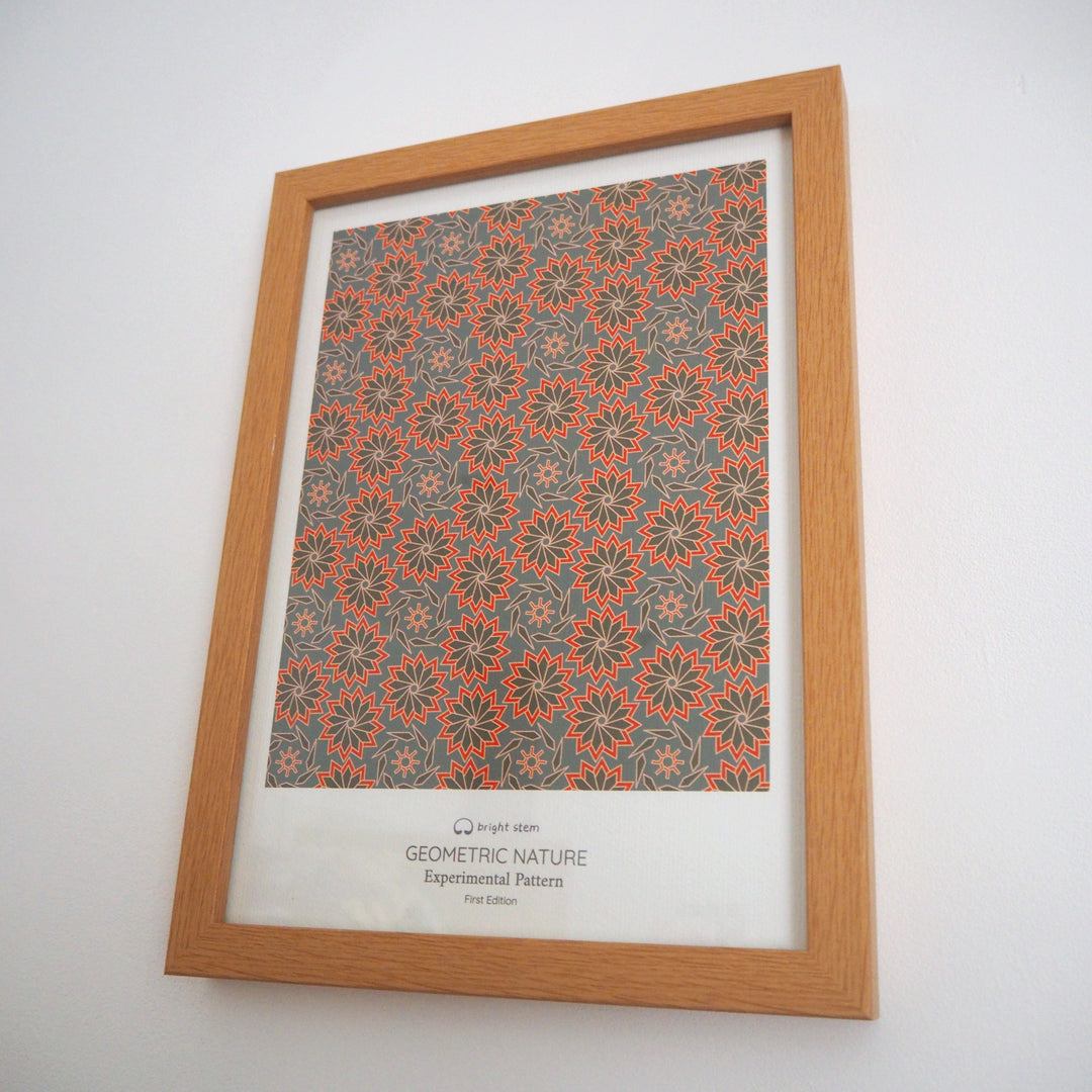 Contemporary Art Print Geometric Nature Experimental Pattern First Edition Signed by Artist (1/100)