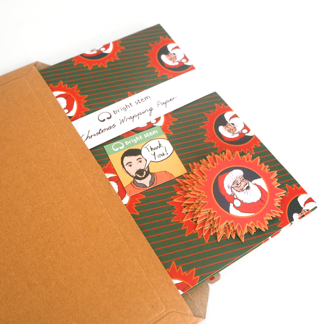 Packaged recyclable Bright Stem Christmas wrapping paper and tags with Santa Claus design on a white background
