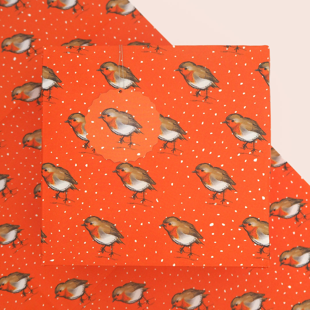 Present wrapped in bright stem Christmas wrapping paper and tag with a repeated Illustration of a Robin on a orange background.