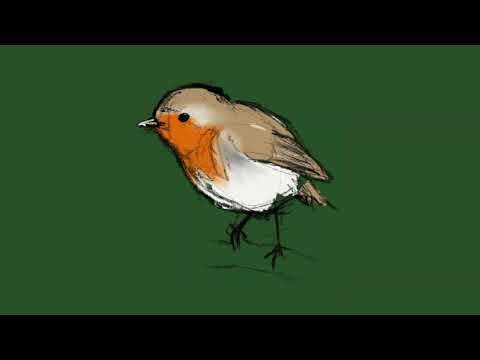 Robin Christmas Wrapping Paper Hand-Illustrated Recyclable sheets and tags